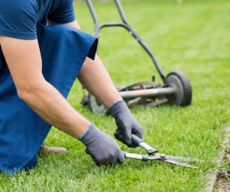 Lawn Mowing & Trimming